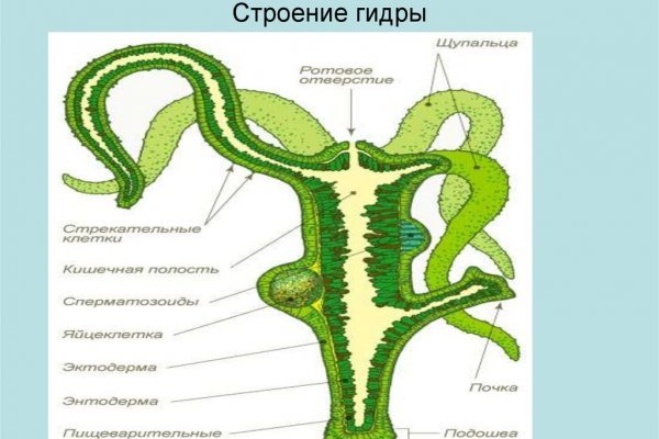 Кракен как проверить зеркало