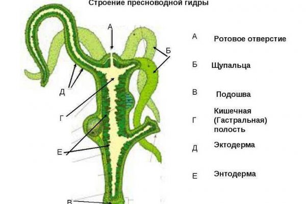 Кракен сайт что будет если зайти