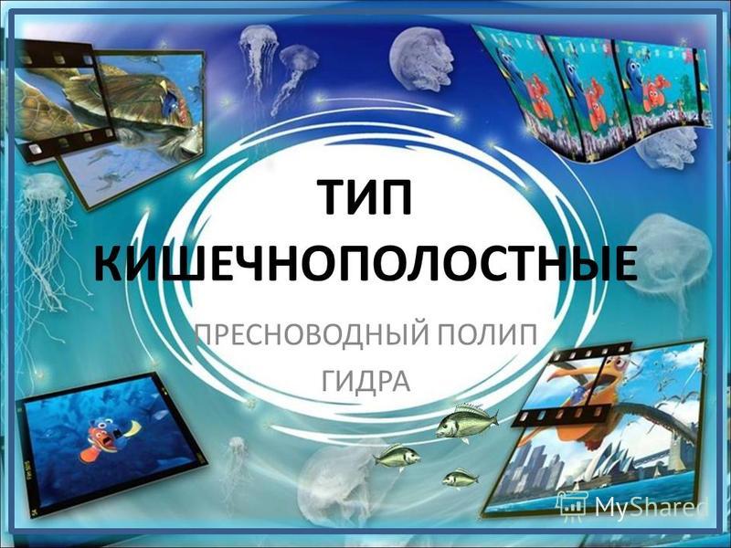 Даркмаркет кракен